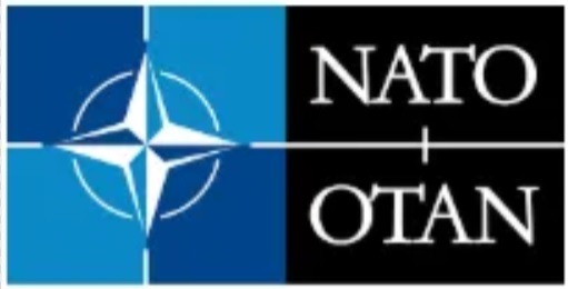 NCAGE logo