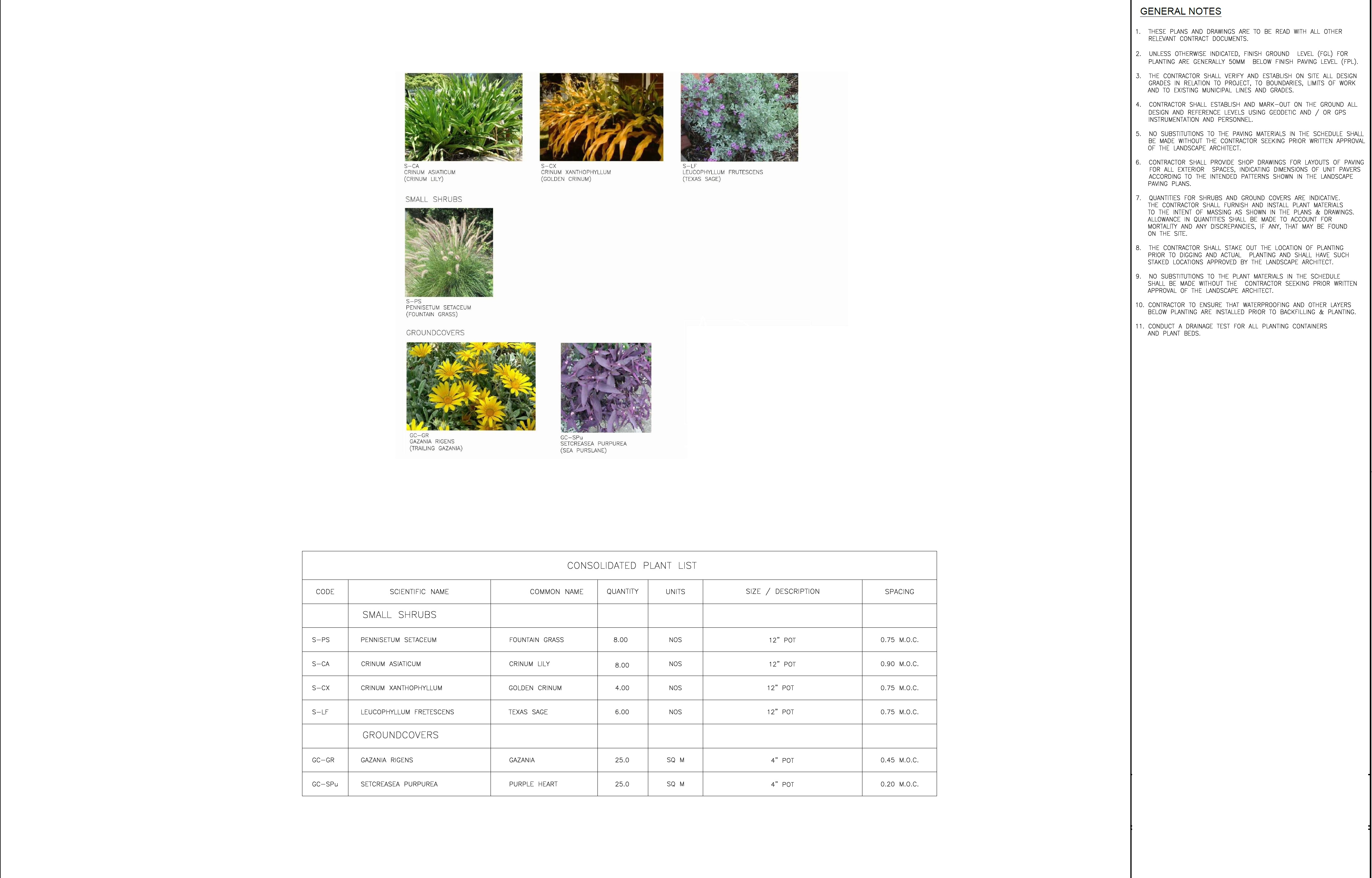 EPTM LTD landscape architectural specification and planting schedule covering selected shrubs, groundcovers, quantities, pot sizes, spacing and technical requirements