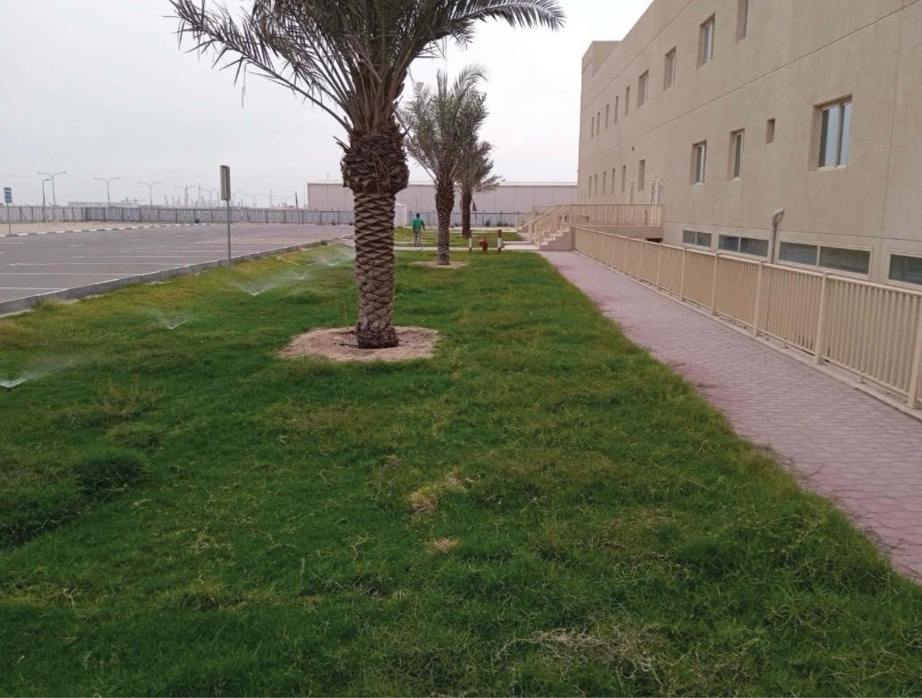 Commercial landscaping representing EPTM LTD landscape, irrigation, pedestrian-circulation and external-works design coordination scope